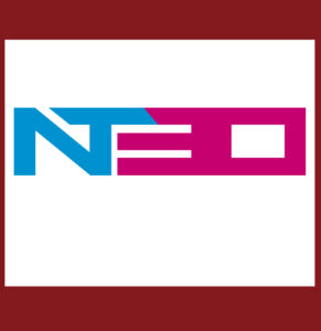 Nerd Team 30
